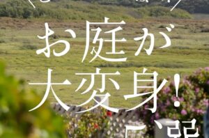 全国初の『SDGs成熟度評価登録証』を受賞🥇『日本空間デザイン賞　食空間の部　銀賞』を受賞🥈した店舗・オフィスの内装デザイン『バルボア・スタジオ株式会社』▶@balboa.studio7581