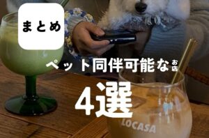 バルボア外観探訪部は…ペット同伴可能なお店4選をご紹介♪