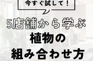 今すぐ試して！5店舗から学ぶ植物の組み合わせ方