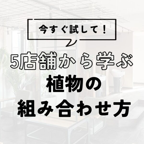 今すぐ試して！5店舗から学ぶ植物の組み合わせ方